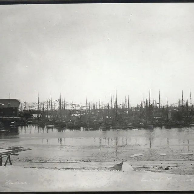 Full at the harbour, 1905